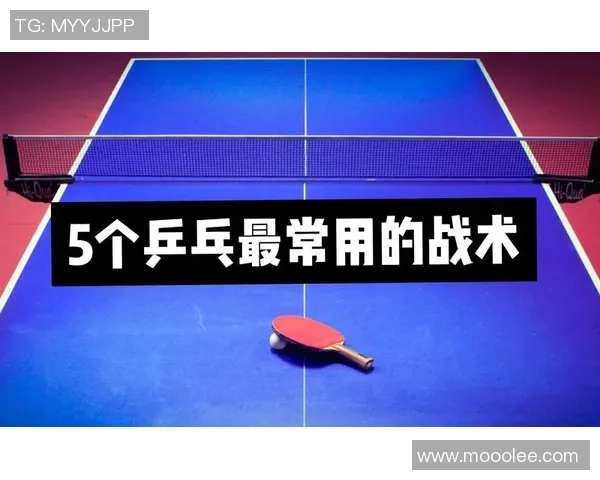 深圳乒乓球队整体压制战术解析与实战应用探讨